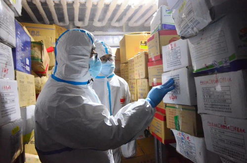 潍坊滨海区 开展进口冷链食品生产经营单位和冷库专项检查